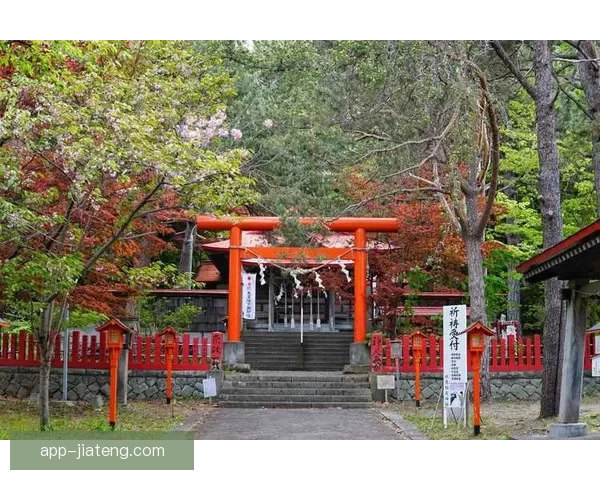 樱花视频网站：探索视听盛宴，解锁无限精彩